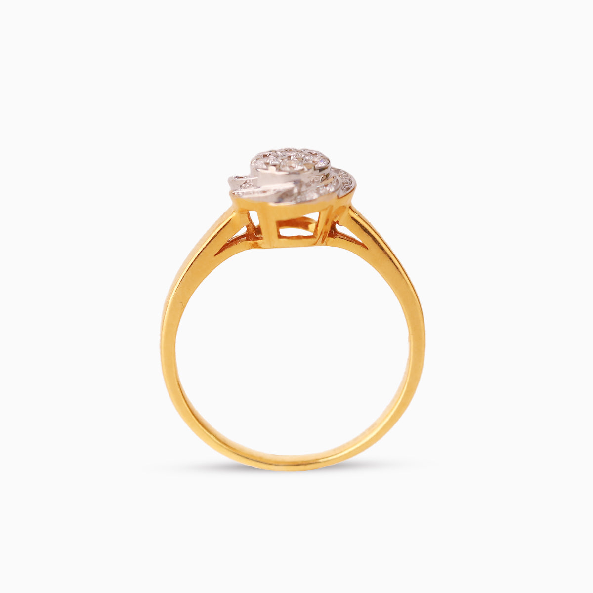 ခြယ်ပန်းပွင့် | Pollen Ring