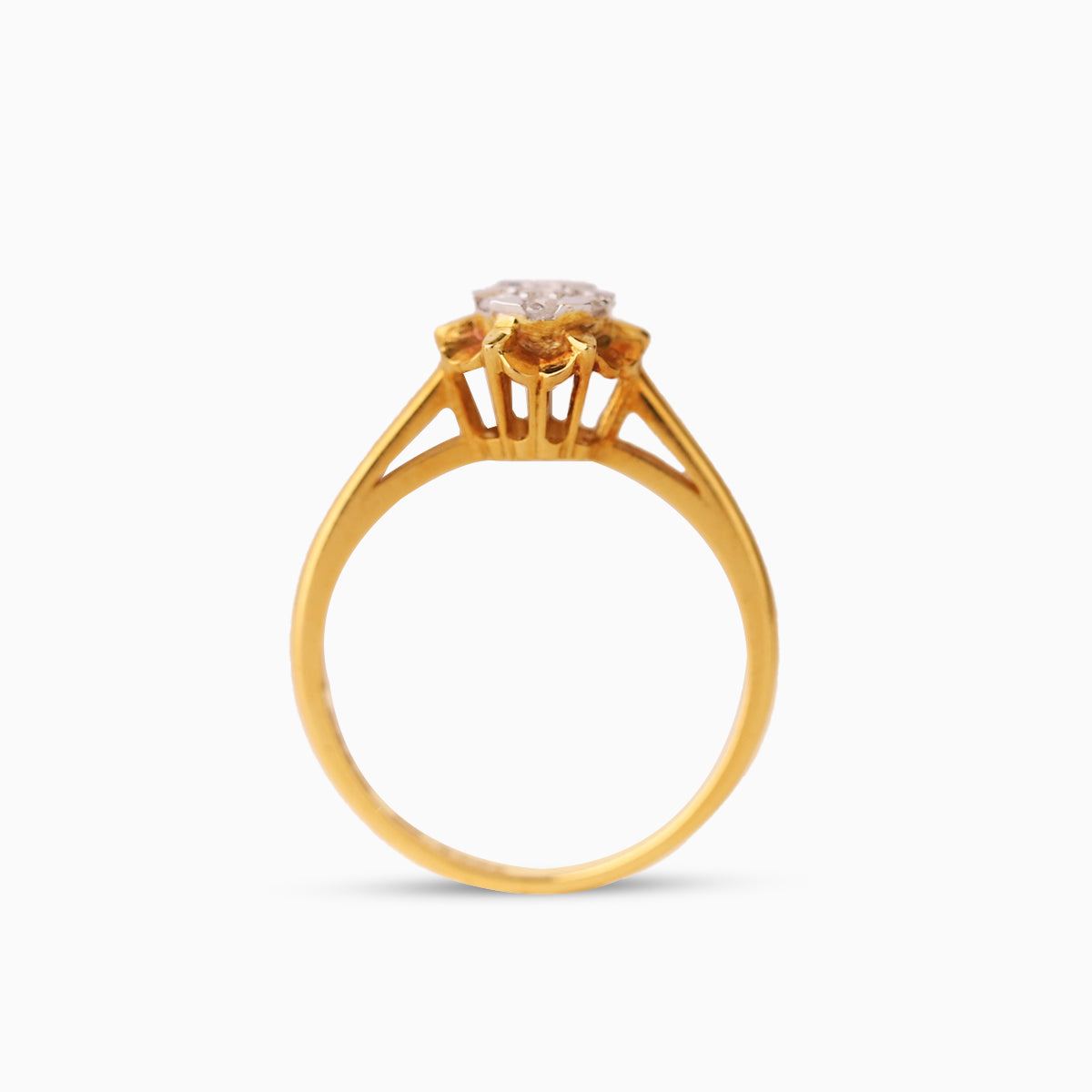 ရွဲပျောက်ပုံ | One Ring