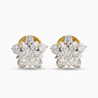 စတား စိန် | Star Earrings